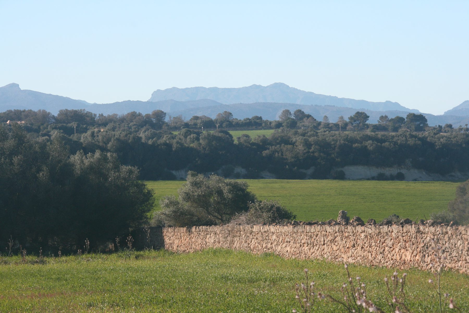 Paisaje mallorquín con pared de piedra seca y la Serra de Tramuntana